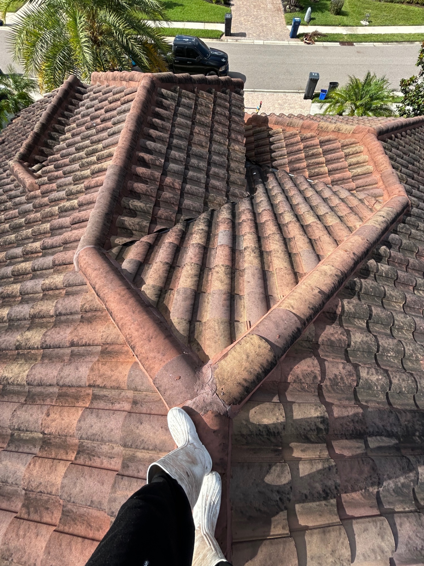 Roof Washing before cleaning
