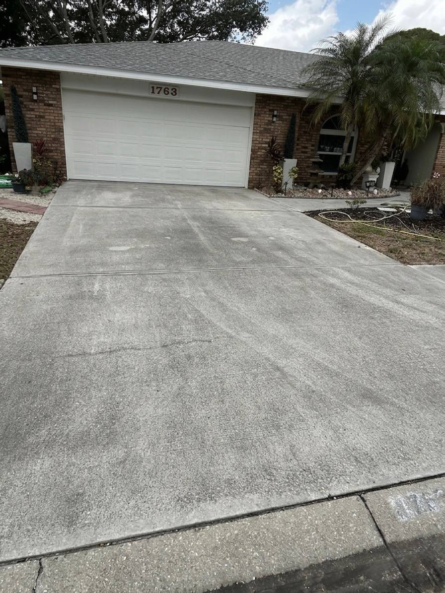 Driveway Cleaning before cleaning