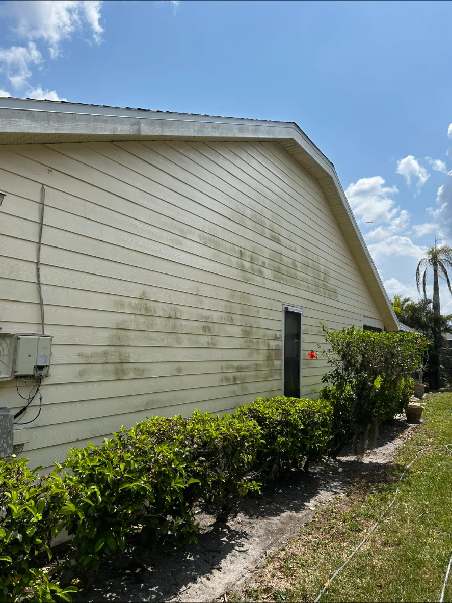 House Washing before cleaning